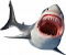 shark3-farver.png