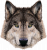wolf-farver.png